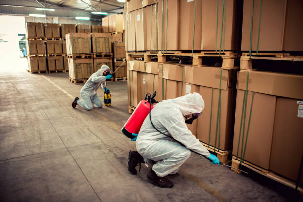 Best Pest Inspection Near Me  in San Rafael, CA