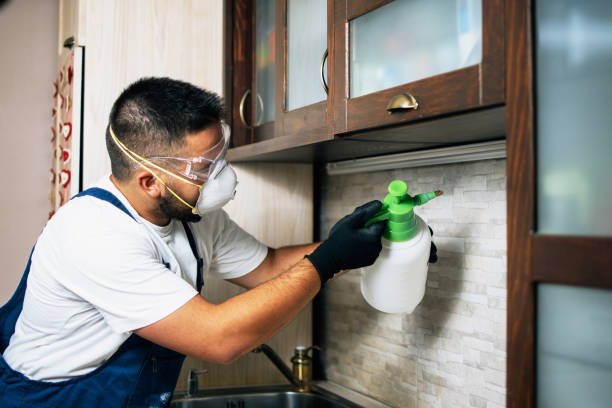 Best Best Pest Control Companies  in San Rafael, CA