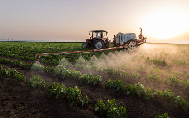 Best Commercial Pest Control Services  in San Rafael, CA