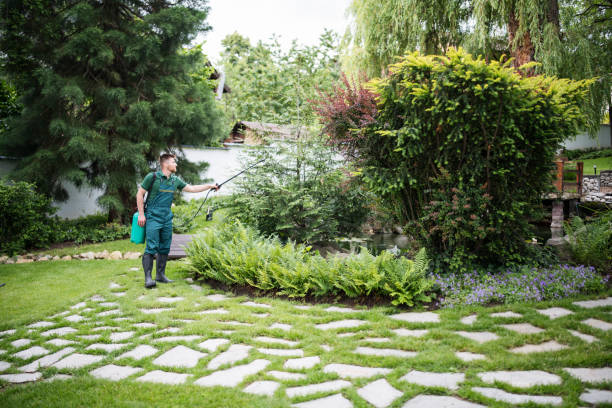 Best Wildlife Control Services  in San Rafael, CA