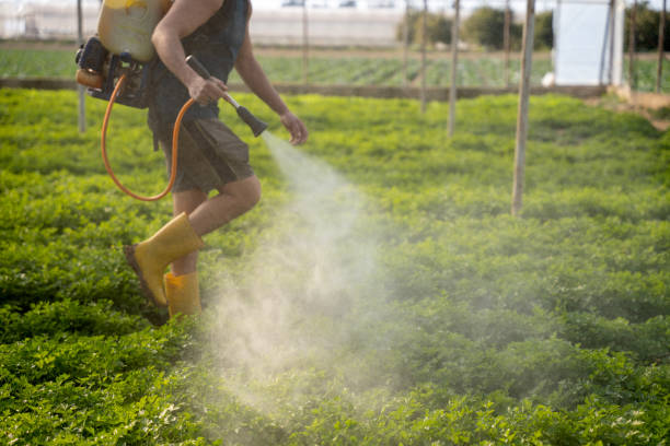 Best Commercial Pest Control Services  in San Rafael, CA
