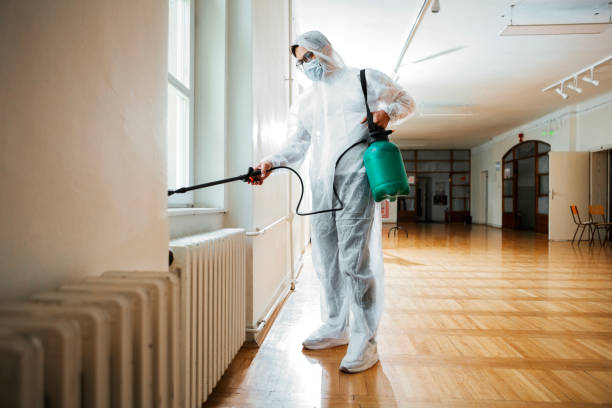 Best Mosquito Control Services  in San Rafael, CA